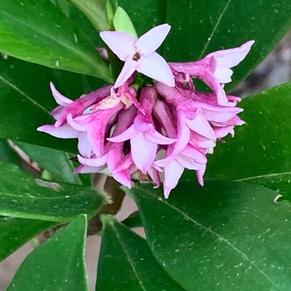 Sharing Oregon 🧡 - Picture 16 of 16